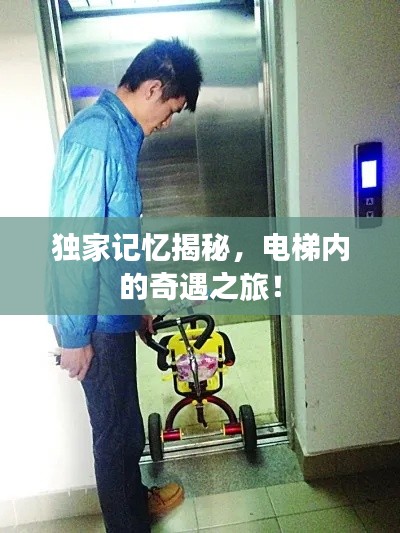 獨家記憶揭秘，電梯內的奇遇之旅！