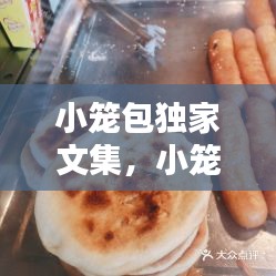 小籠包獨家文集，小籠包rr 