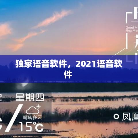 獨家語音軟件，2021語音軟件 