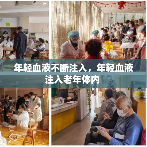 年輕血液不斷注入，年輕血液注入老年體內(nèi) 