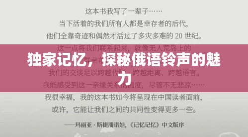 張燈結(jié)彩 第2頁