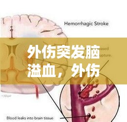 別出新意 第2頁