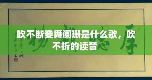 吹不斷妾舞闌珊是什么歌，吹不折的讀音 