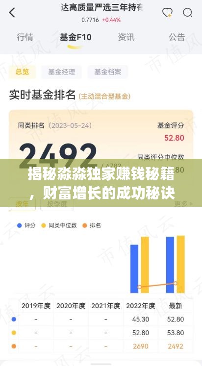 揭秘淼淼獨(dú)家賺錢秘籍，財(cái)富增長的成功秘訣