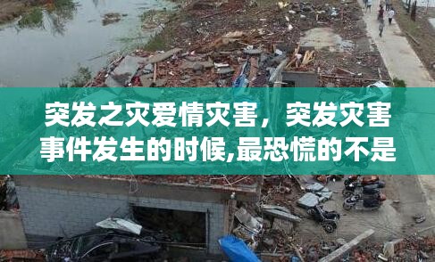 獨(dú)出新裁 第2頁(yè)