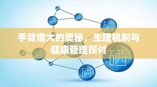 手臂增大的奧秘，生理機制與健康管理探討