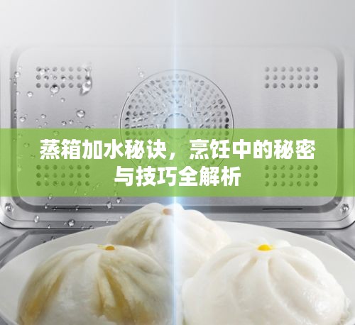蒸箱加水秘訣，烹飪中的秘密與技巧全解析