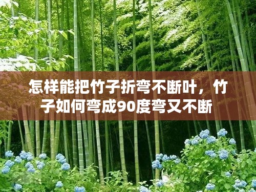 怎樣能把竹子折彎不斷葉，竹子如何彎成90度彎又不斷 