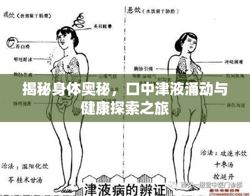 揭秘身體奧秘，口中津液涌動(dòng)與健康探索之旅