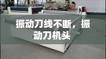 舉世無雙 第2頁