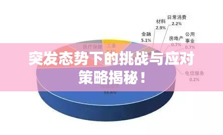 突發(fā)態(tài)勢(shì)下的挑戰(zhàn)與應(yīng)對(duì)策略揭秘！