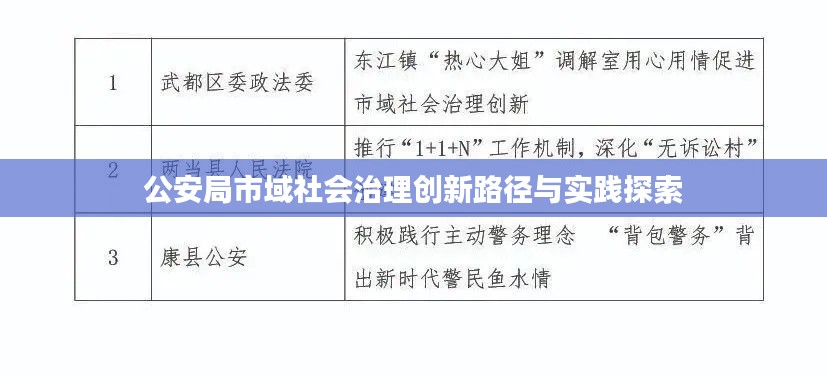 公安局市域社會治理創(chuàng)新路徑與實(shí)踐探索