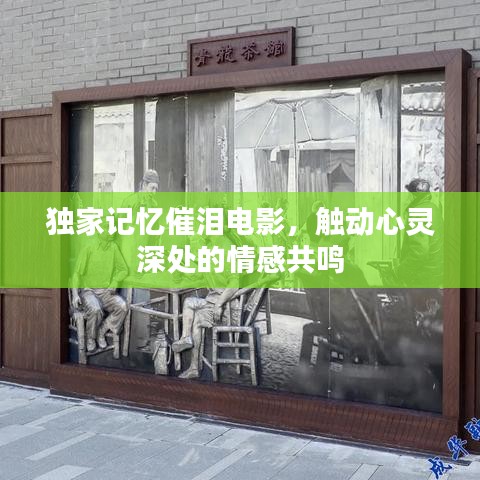 獨家記憶催淚電影，觸動心靈深處的情感共鳴