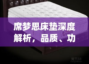 席夢思床墊深度解析，品質(zhì)、功能及市場洞察