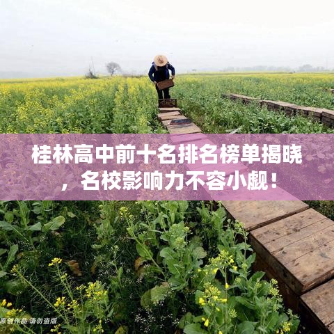 桂林高中前十名排名榜單揭曉，名校影響力不容小覷！