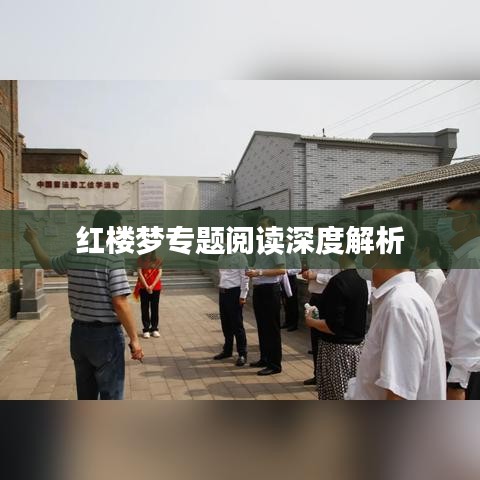 紅樓夢專題閱讀深度解析