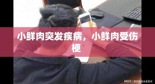 小鮮肉突發(fā)疾病，小鮮肉受傷梗 