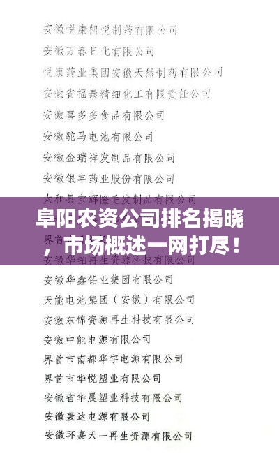 阜陽農(nóng)資公司排名揭曉，市場概述一網(wǎng)打盡！
