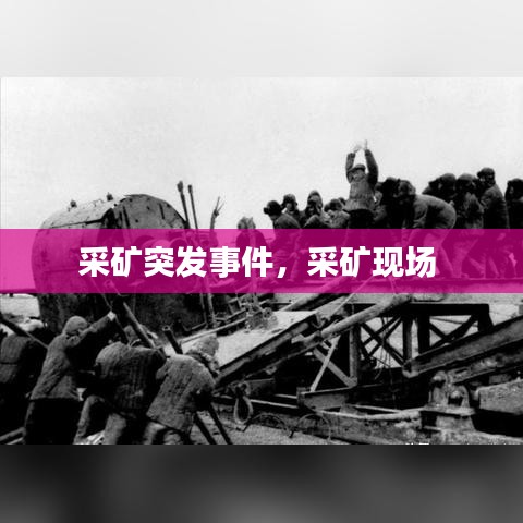 棒打出頭鳥 第2頁