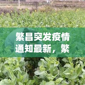 繁昌突發(fā)疫情通知最新，繁昌確診一例 