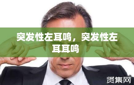 突發(fā)性左耳鳴，突發(fā)性左耳耳鳴 