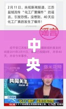 生張熟魏 第3頁(yè)