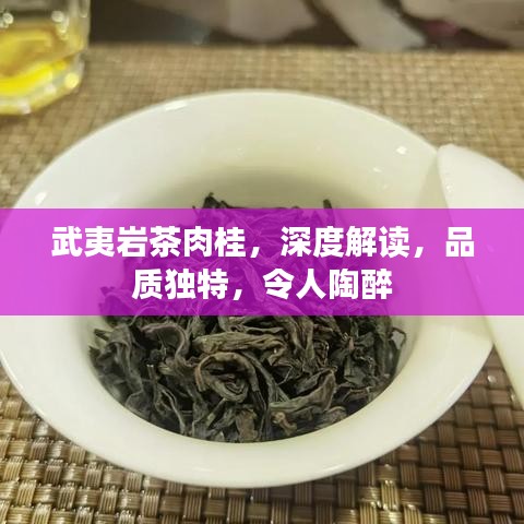 武夷巖茶肉桂，深度解讀，品質(zhì)獨(dú)特，令人陶醉
