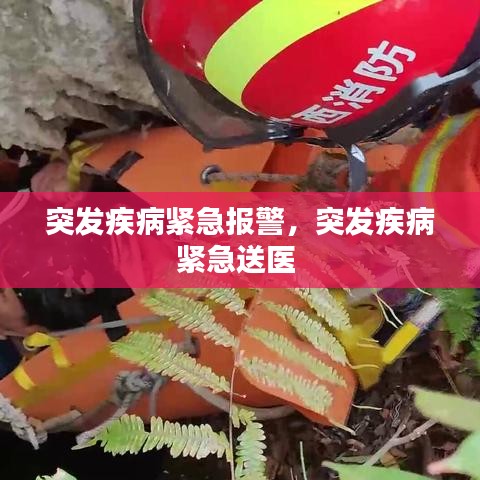 突發(fā)疾病緊急報(bào)警，突發(fā)疾病緊急送醫(yī) 