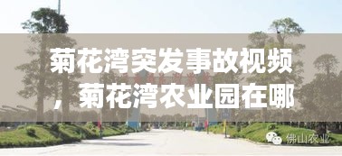 菊花灣突發(fā)事故視頻，菊花灣農(nóng)業(yè)園在哪里 