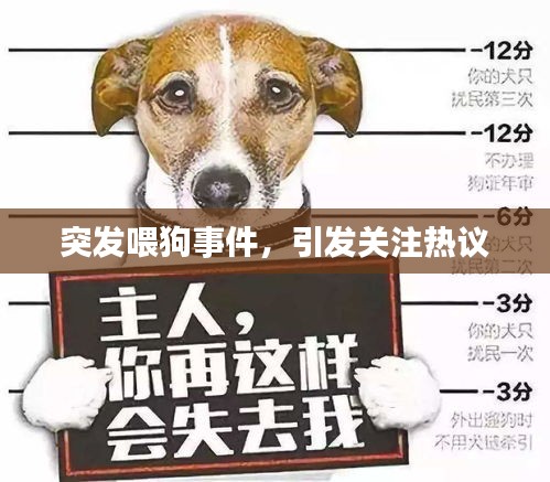 突發(fā)喂狗事件，引發(fā)關(guān)注熱議