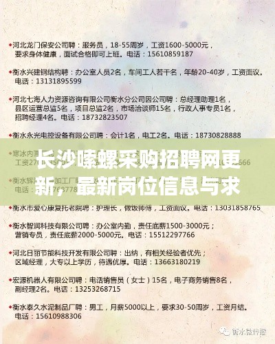 長沙嗦螺采購招聘網(wǎng)更新，最新崗位信息與求職指南揭秘