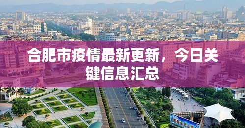 合肥市疫情最新更新，今日關(guān)鍵信息匯總