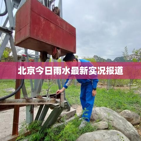 澹泊明志，寧靜致遠(yuǎn) 第2頁