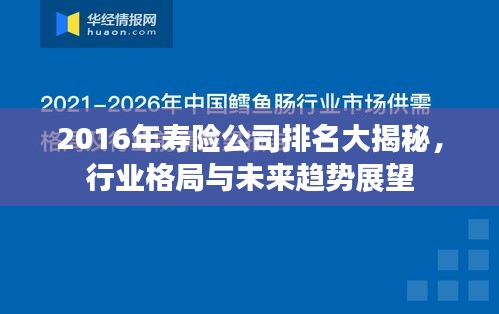 2016年壽險(xiǎn)公司排名大揭秘，行業(yè)格局與未來(lái)趨勢(shì)展望
