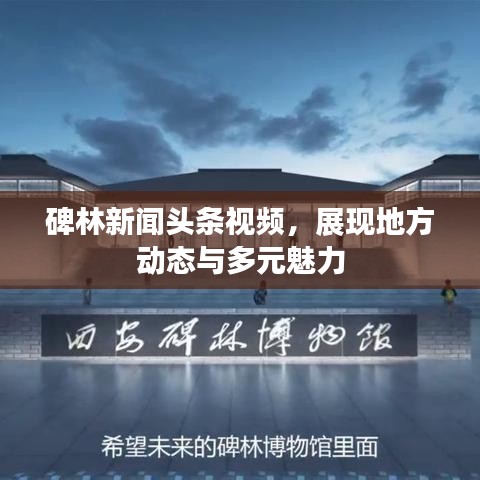 碑林新聞頭條視頻，展現(xiàn)地方動態(tài)與多元魅力
