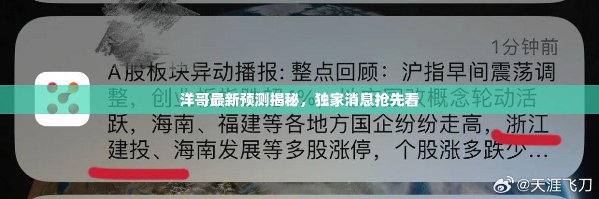 洋哥最新預(yù)測(cè)揭秘，獨(dú)家消息搶先看