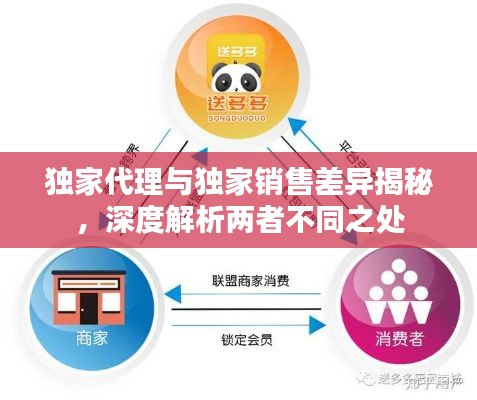 獨(dú)家代理與獨(dú)家銷售差異揭秘，深度解析兩者不同之處