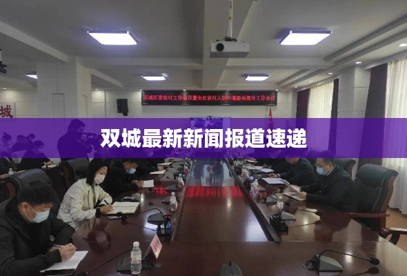 雙城最新新聞報(bào)道速遞
