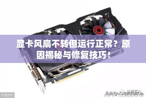 無影無蹤 第2頁