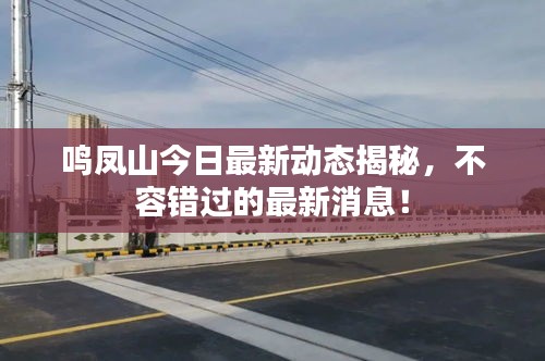 鳴鳳山今日最新動(dòng)態(tài)揭秘，不容錯(cuò)過的最新消息！