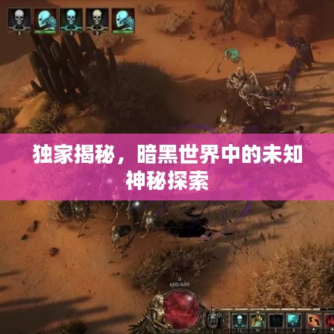 獨家揭秘，暗黑世界中的未知神秘探索