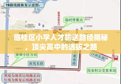臨桂區(qū)小學(xué)人才輸送路徑揭秘，頂尖高中的選拔之路