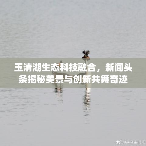 玉清湖生態(tài)科技融合，新聞?lì)^條揭秘美景與創(chuàng)新共舞奇跡