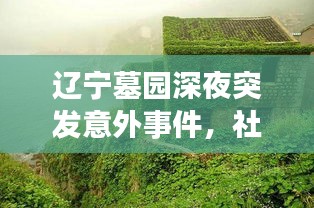 遼寧墓園深夜突發(fā)意外事件，社會的警鐘與反思