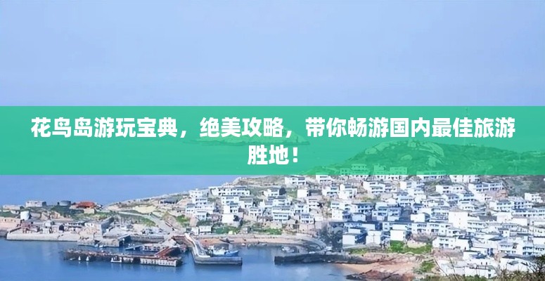 花鳥島游玩寶典，絕美攻略，帶你暢游國內最佳旅游勝地！