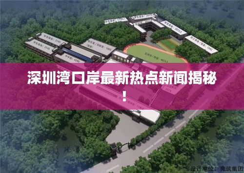 深圳灣口岸最新熱點(diǎn)新聞揭秘！