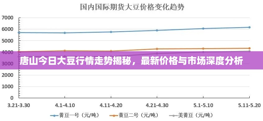 唐山今日大豆行情走勢揭秘，最新價格與市場深度分析