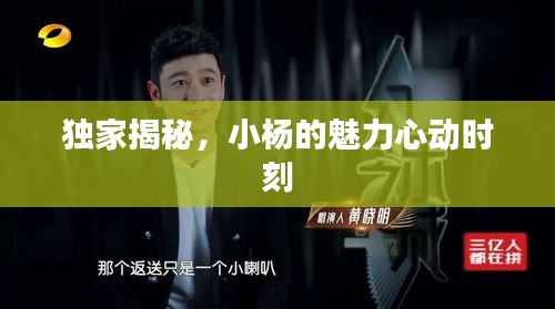 獨家揭秘，小楊的魅力心動時刻