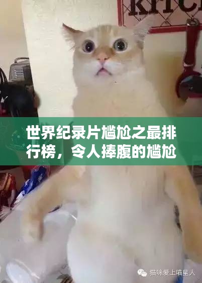 世界紀(jì)錄片尷尬之最排行榜，令人捧腹的尷尬瞬間大盤點(diǎn)！