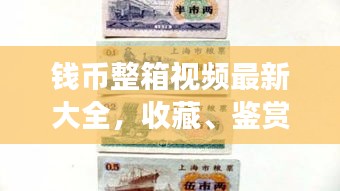 錢幣整箱視頻最新大全，收藏、鑒賞與投資的新視角全解析